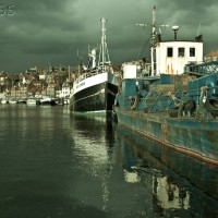 Marine Hull Fouling Whitby 75